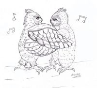 Owl waltz